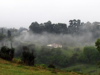 Neblina en Tucumn