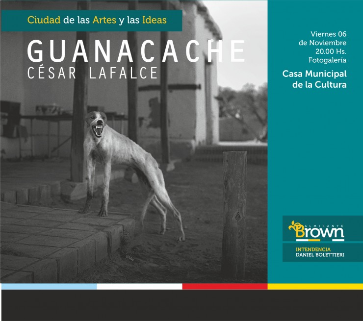 Guanacache