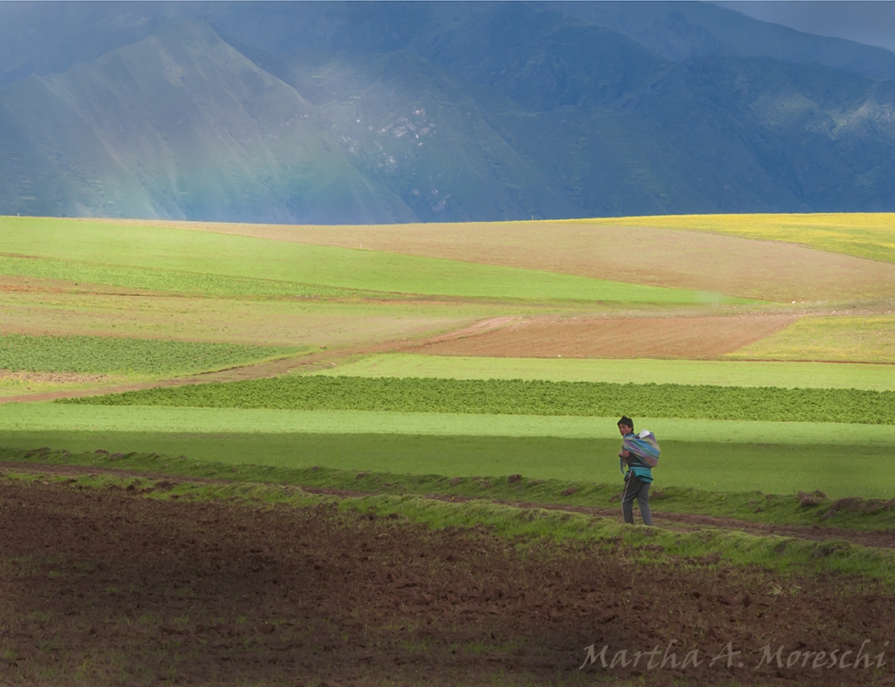 "Hacia el arco iris" de Martha A. Moreschi