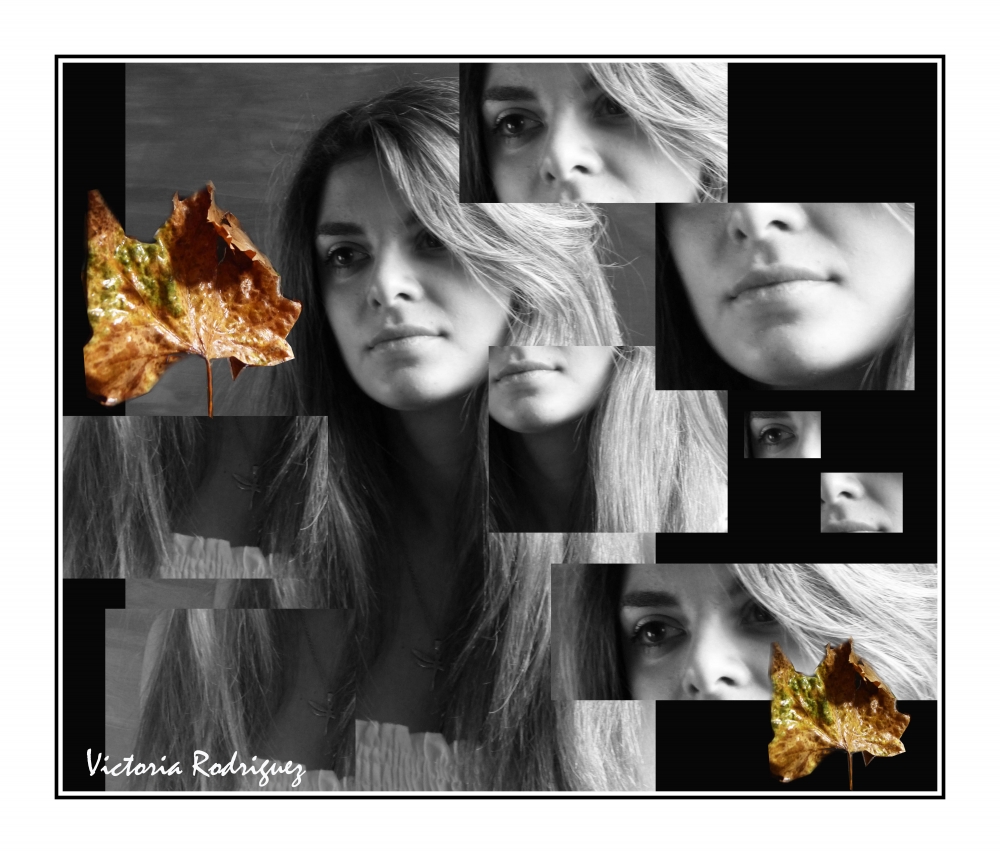 "Fragmentos 3" de Victoria Elisa Rodriguez