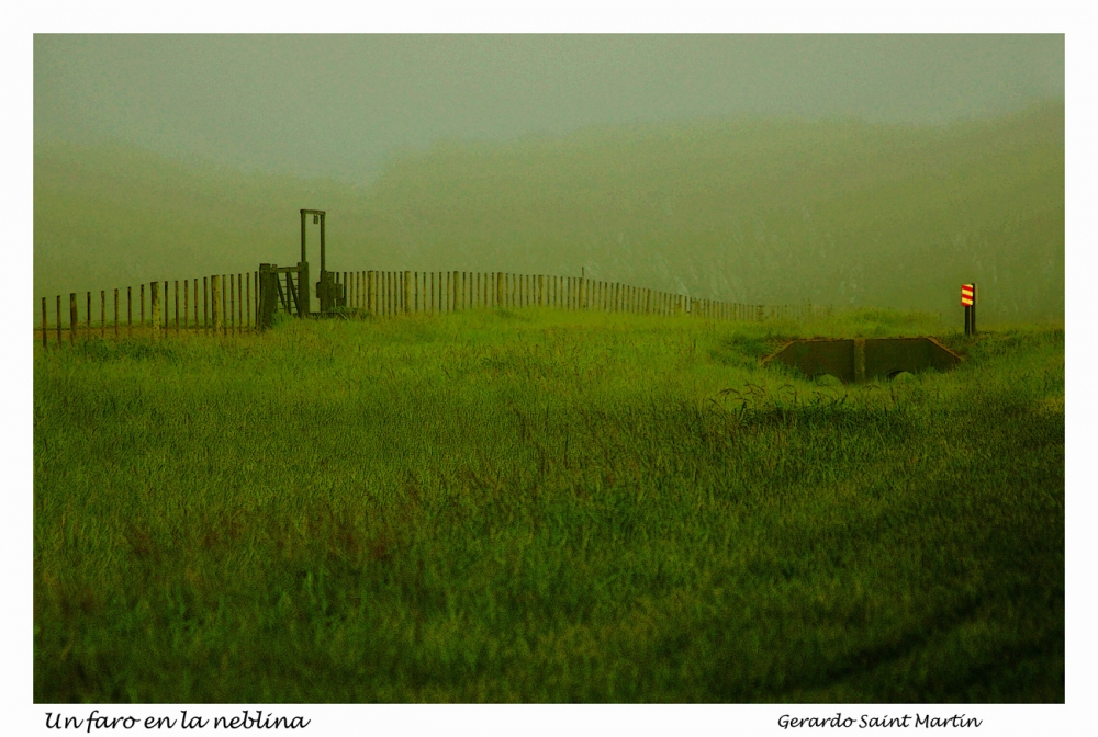 "Un faro en la neblina." de Gerardo Saint Martn