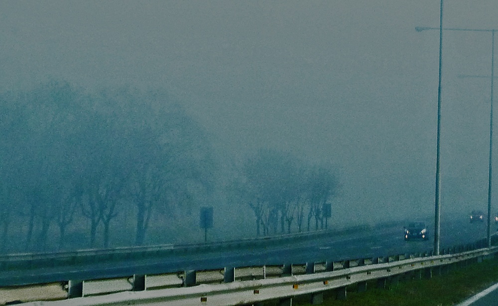 "Niebla en la carretera" de Mercedes Pasini