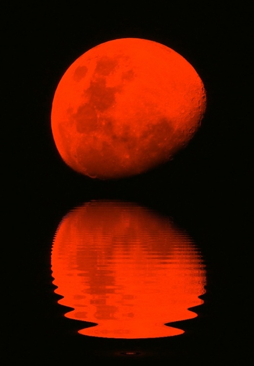 "`Luna roja sobre el mar negro`" de Carlos Alberto Torres