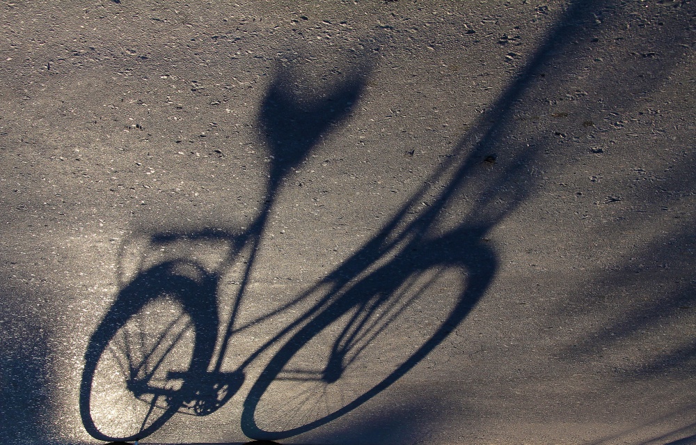 "cycle" de Gustavo Targa