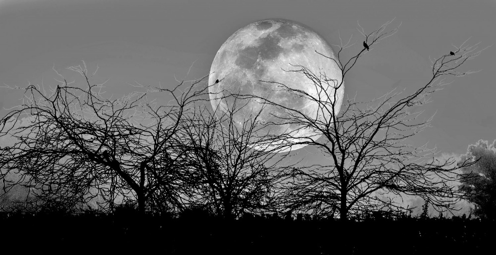 "fantasa de la luna llena" de Edith Polverini