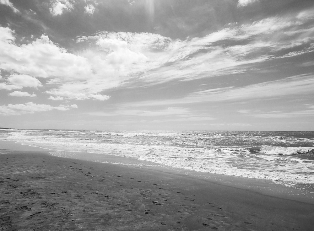 "La Playa !!!" de Jos Luis Mansur