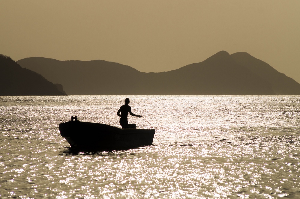 "Un dia mas de pesca" de Francisco Luis Franco Marin