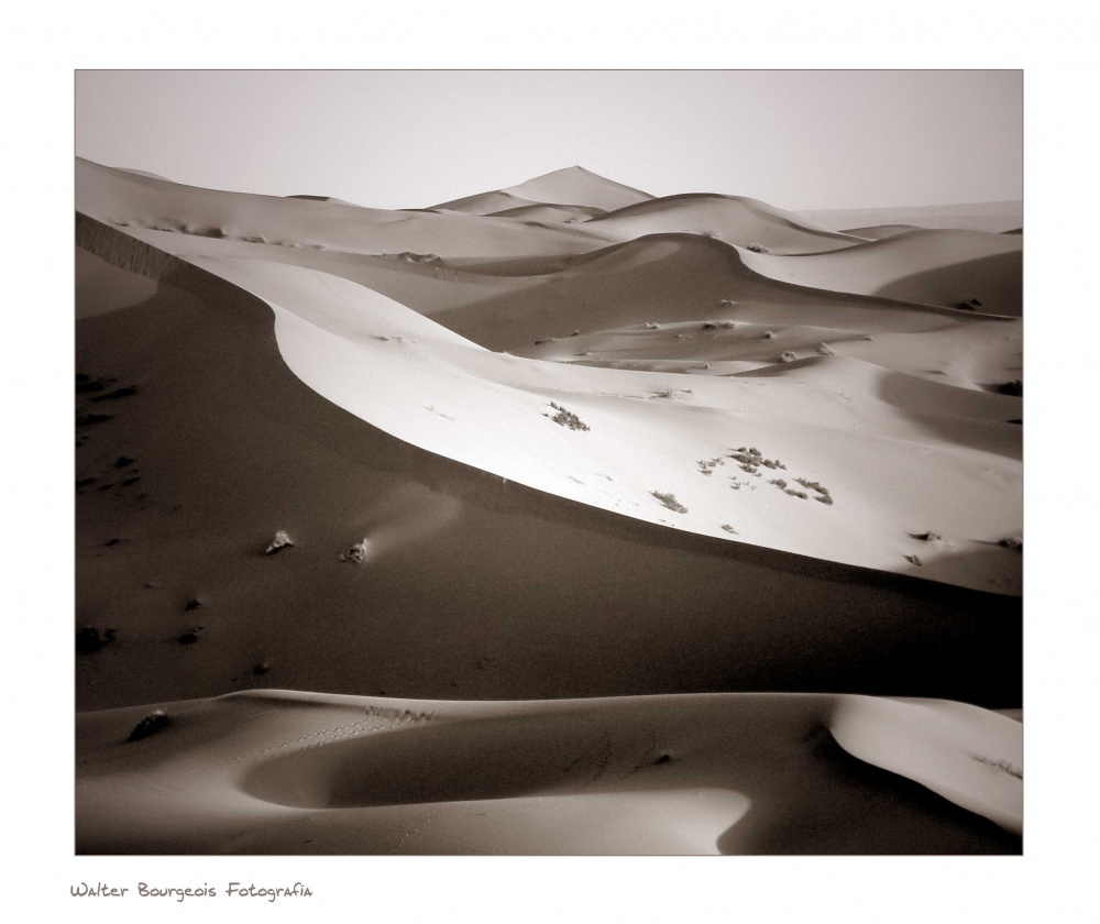 "Ondas del desierto" de Walter Bourgeois