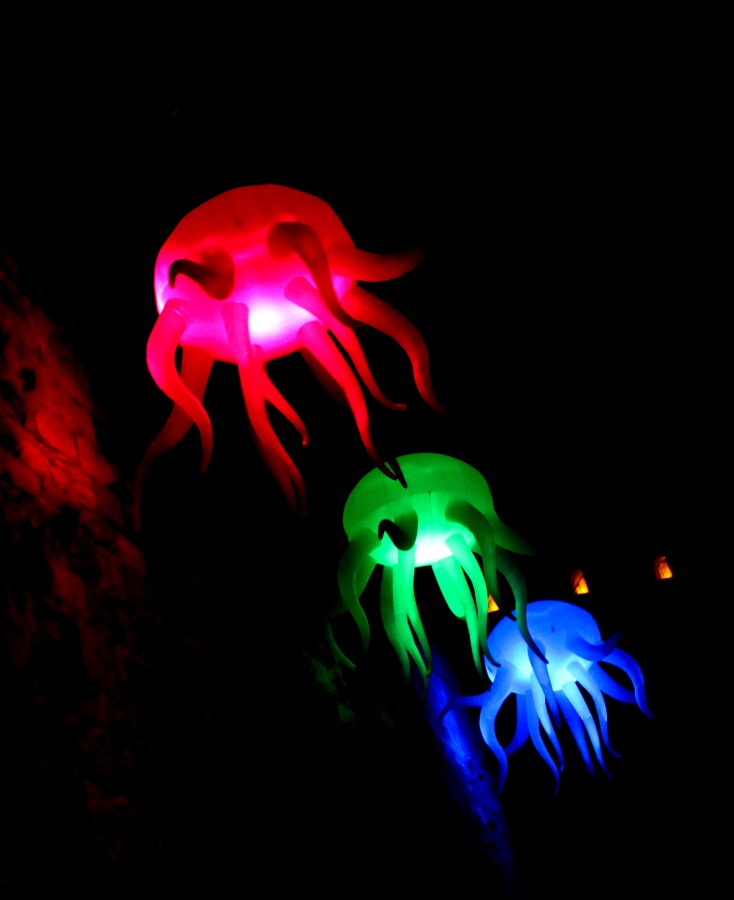 "medusas de aire" de Guillermo Covelli