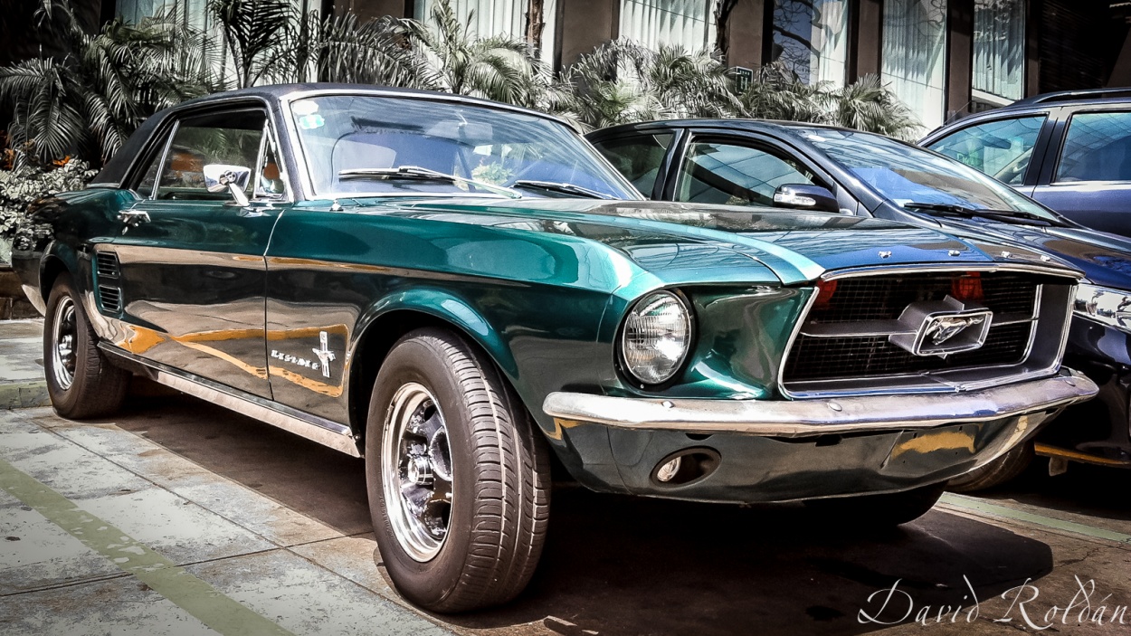 "green Mustang" de David Roldn