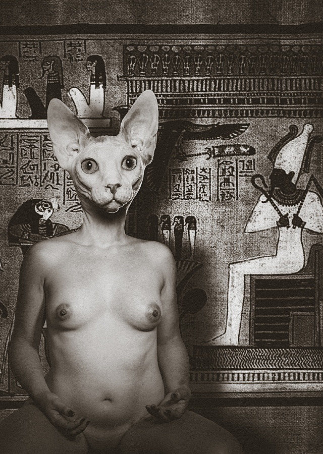 "Desnudo" de Gonzalo Fochesatto