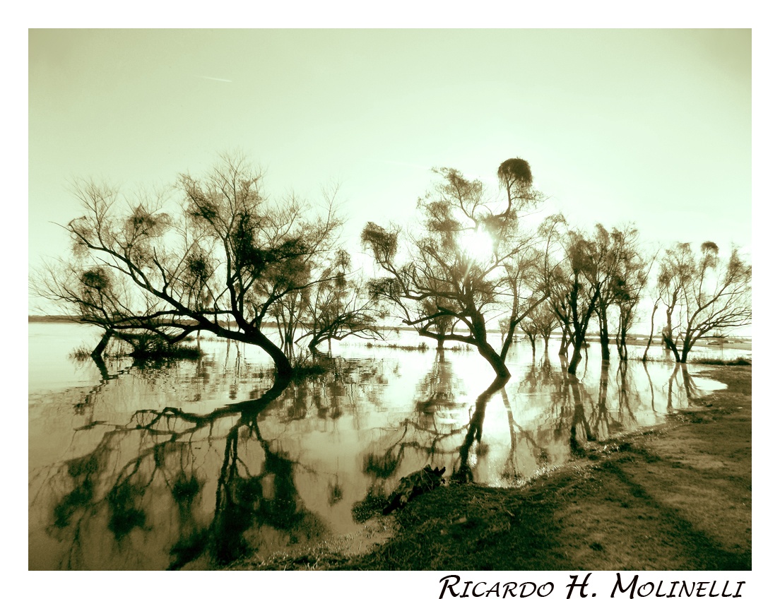 "Reflejos en el ro" de Ricardo H. Molinelli