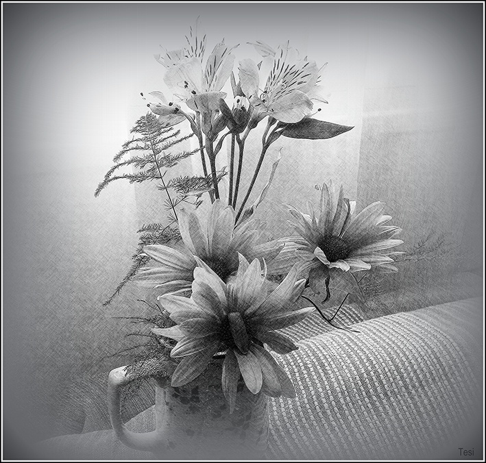 "Florecillas" de Tesi Salado