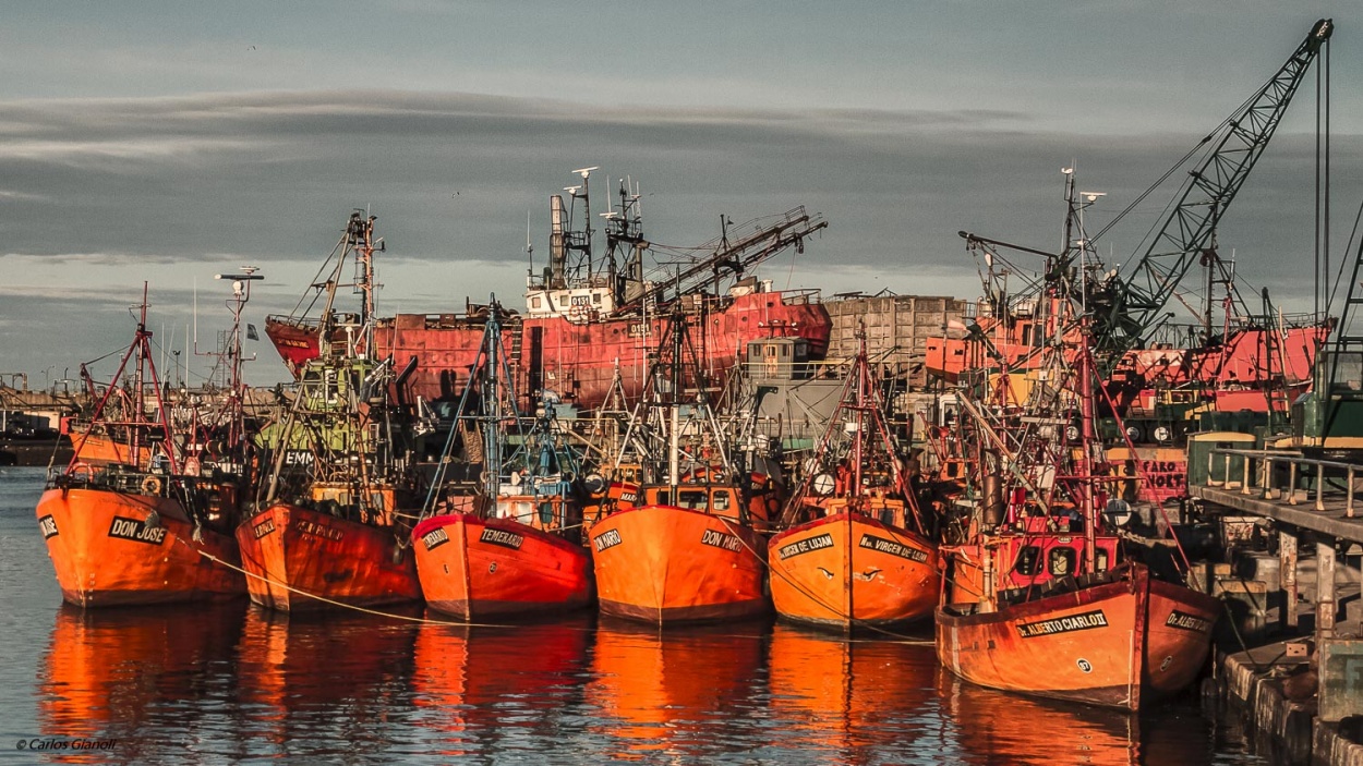 "Puerto de Mar del Plata" de Carlos Gianoli