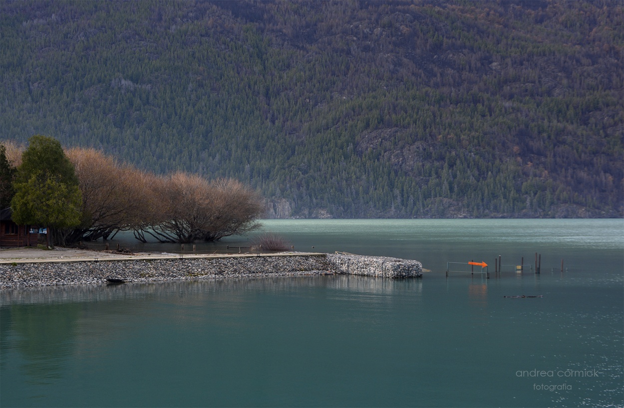 "Lago Puelo" de Andrea Cormick