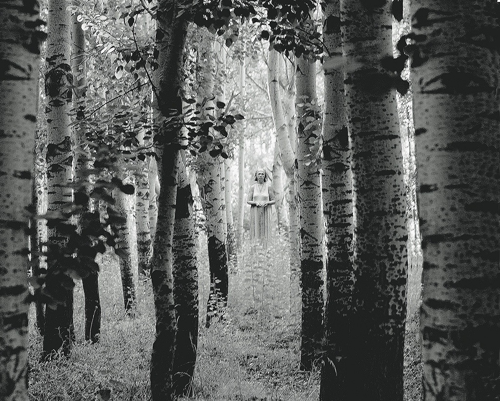 "Bosque" de Gerardo Saint Martn