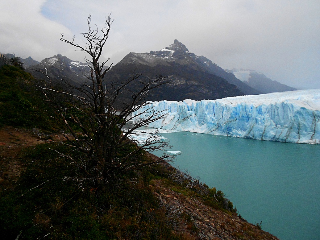 "Glaciar Perito Moreno" de Ricardo S. Spinetto