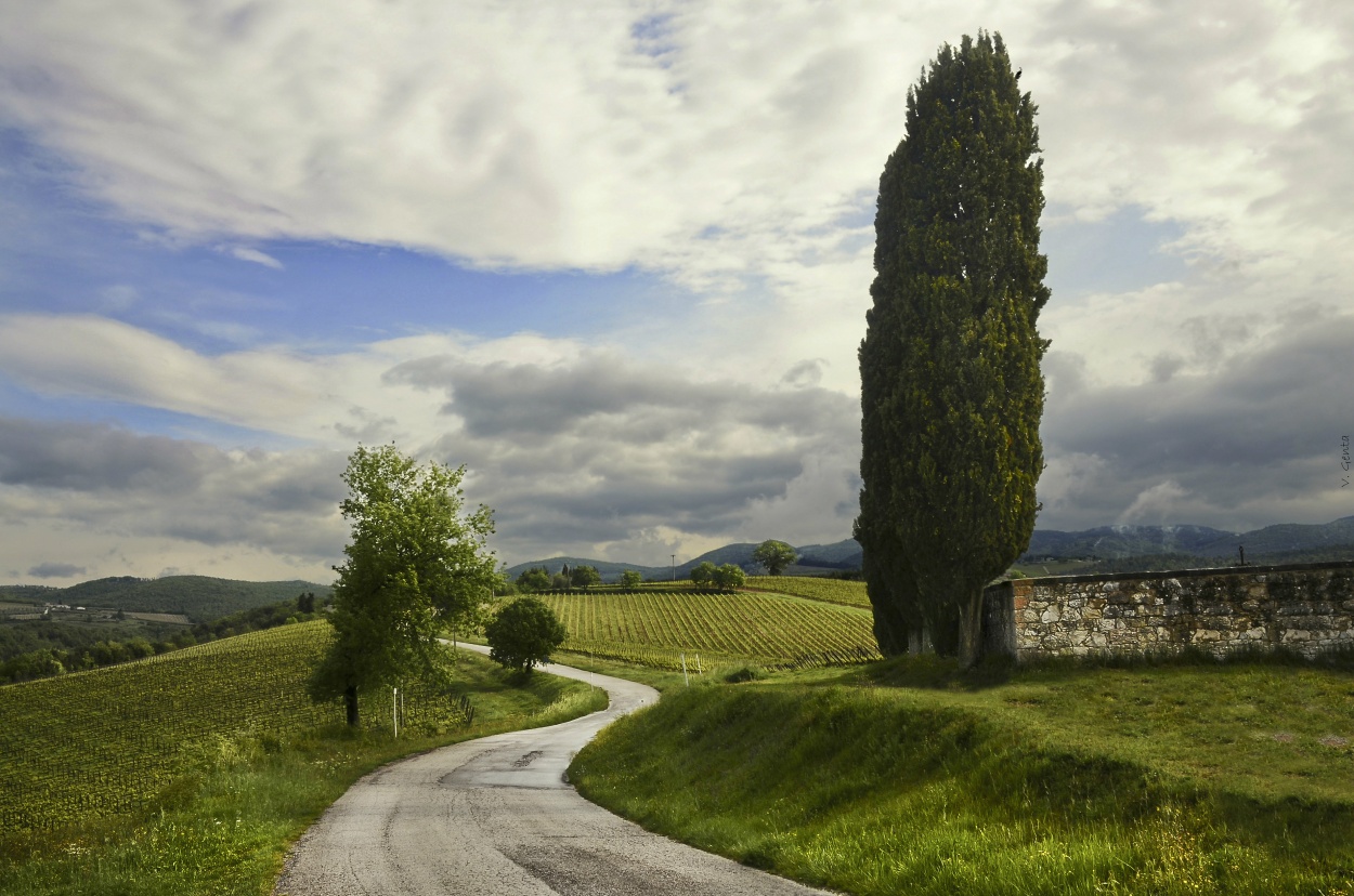 "Esos caminos de la Toscana..." de Viviana Genta