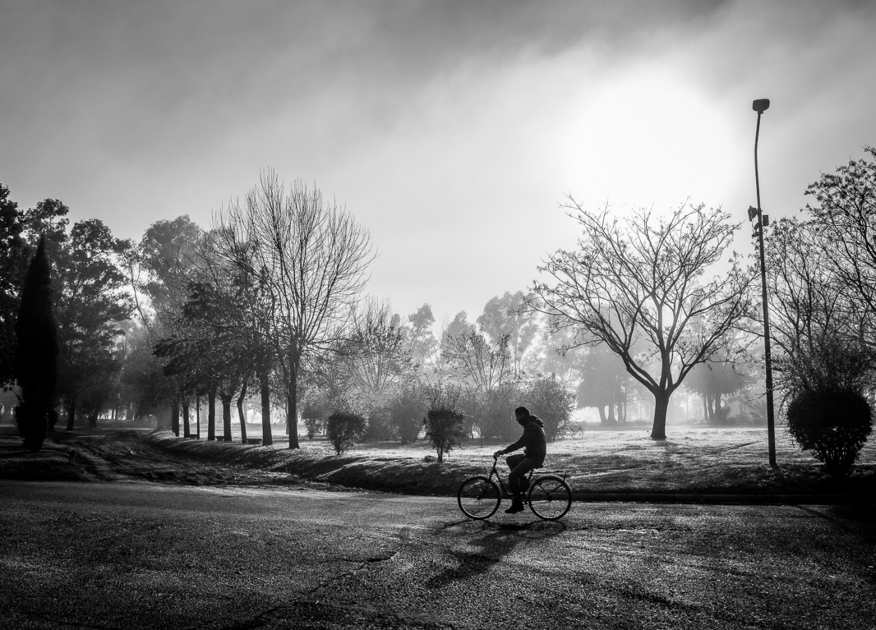 "El ciclista en la maana de sol" de Fernando Valdez Vazquez