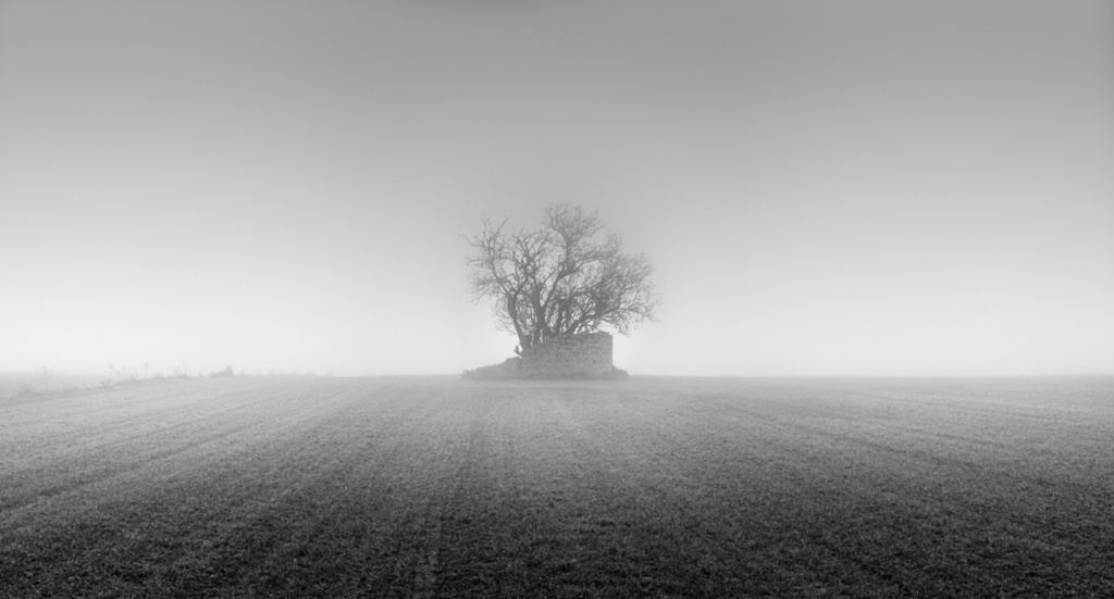 "Niebla" de Javier Enjuto Garcia