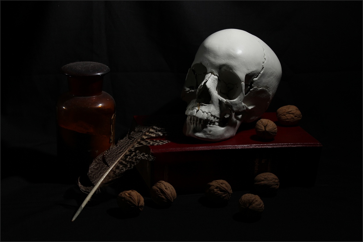 "Skull" de Viviana Lima