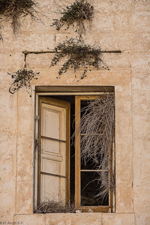 "La ventana y el invierno" de Angel De Pascalis