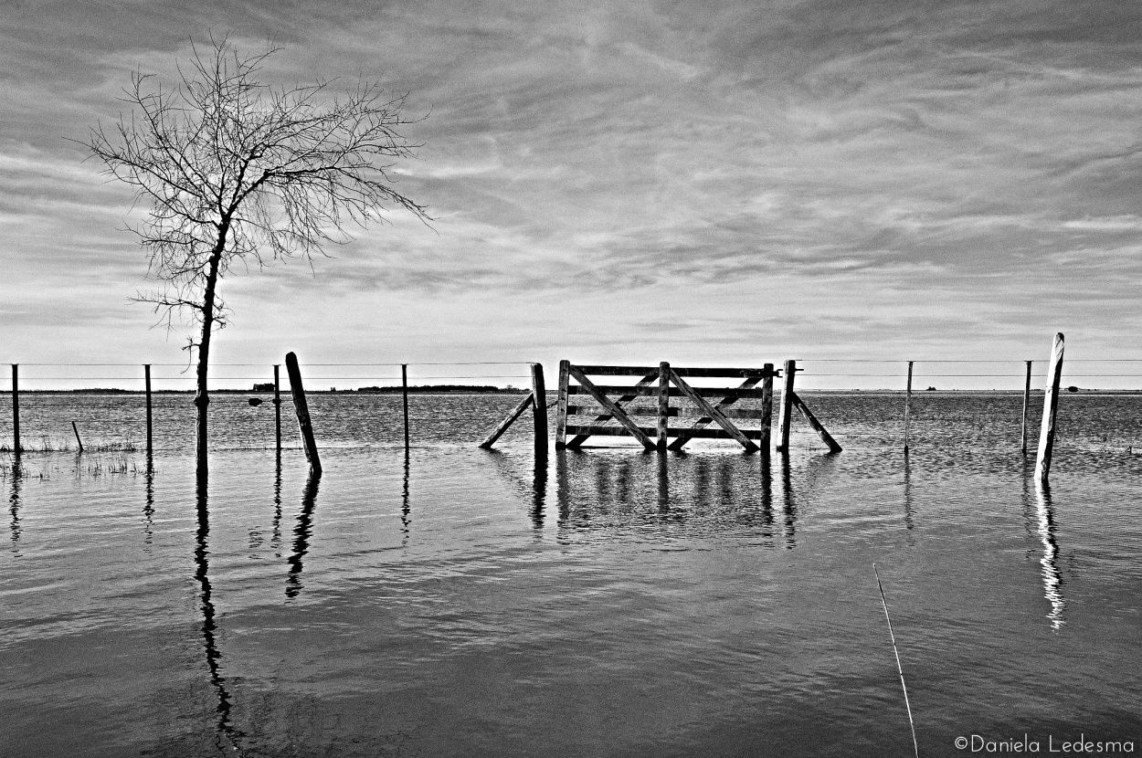 "Inundacin" de Daniela Ledesma