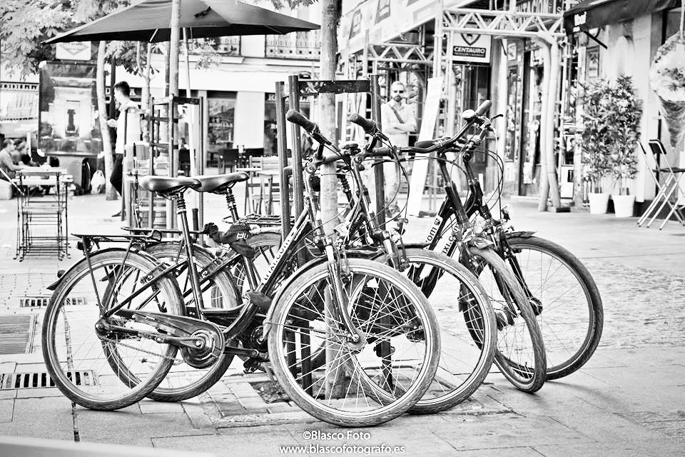 "Las bicicletas" de Luis Blasco Martin