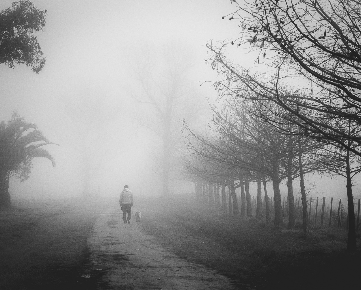 "Paseo en la niebla" de Fernando Valdez Vazquez