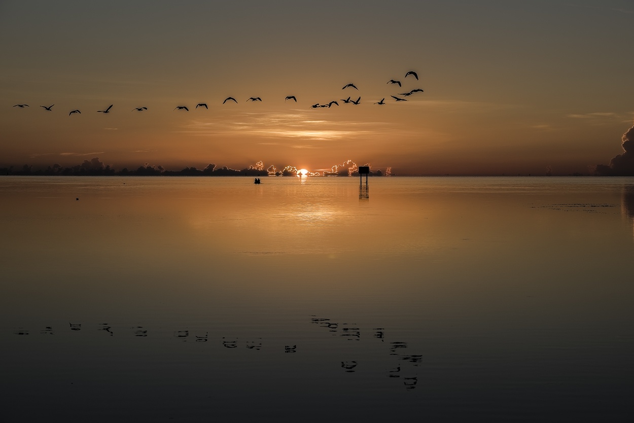 "Sunrise Florida" de Adrin De La Paz Rodrguez