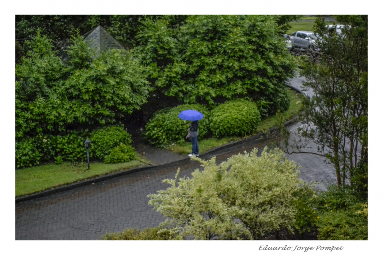 "El paraguas azl" de Eduardo Jorge Pompei