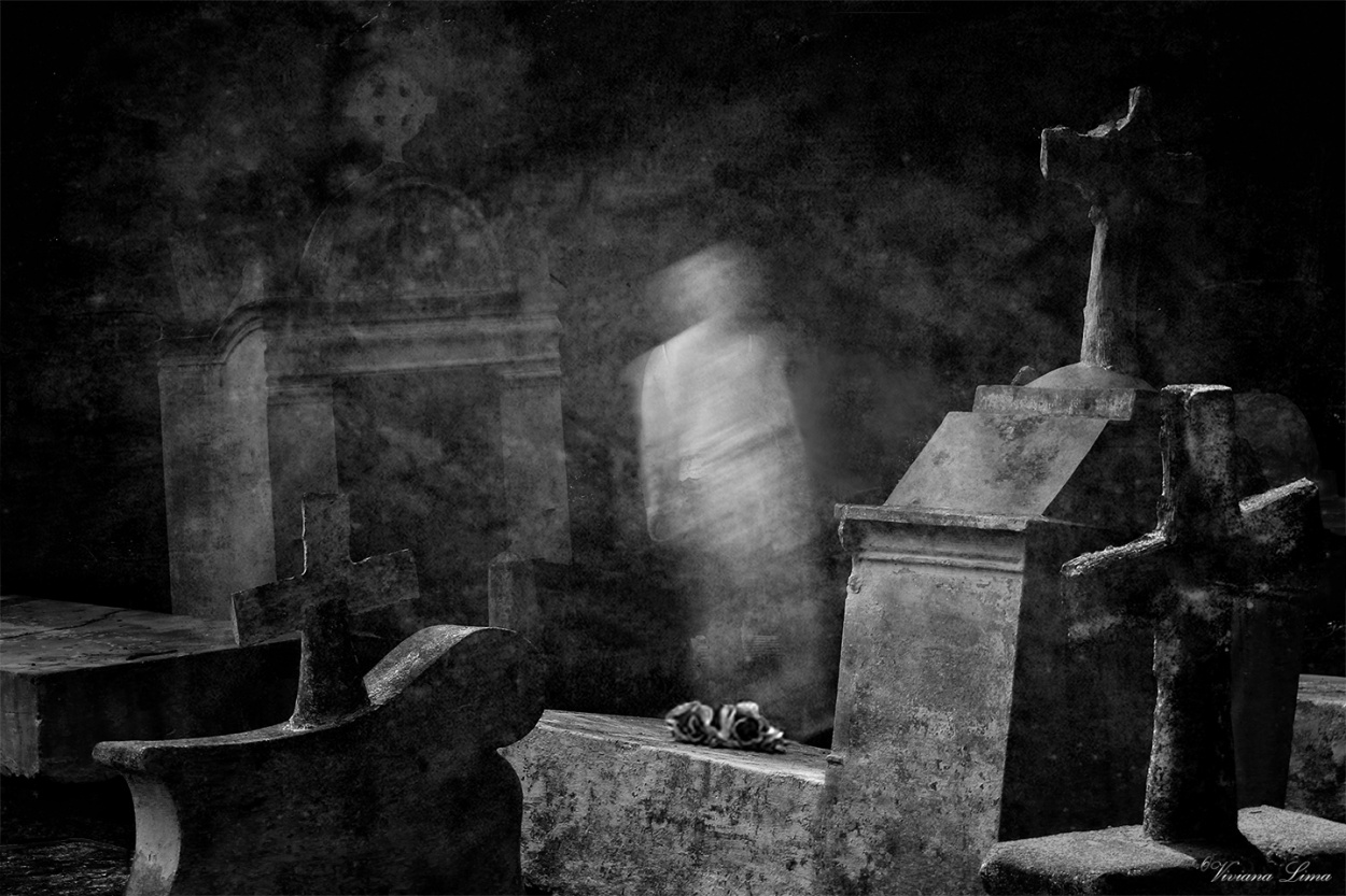 "A la hora exacta, cuando el cementerio cerr..." de Viviana Lima