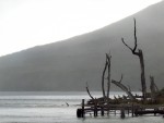 Lago Escondido - T. del Fuego - I