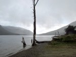 Lago Escondido - T. del Fuego - III