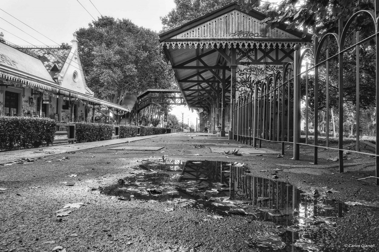 "Tren de la Costa: Estacin San Fernando" de Carlos Gianoli