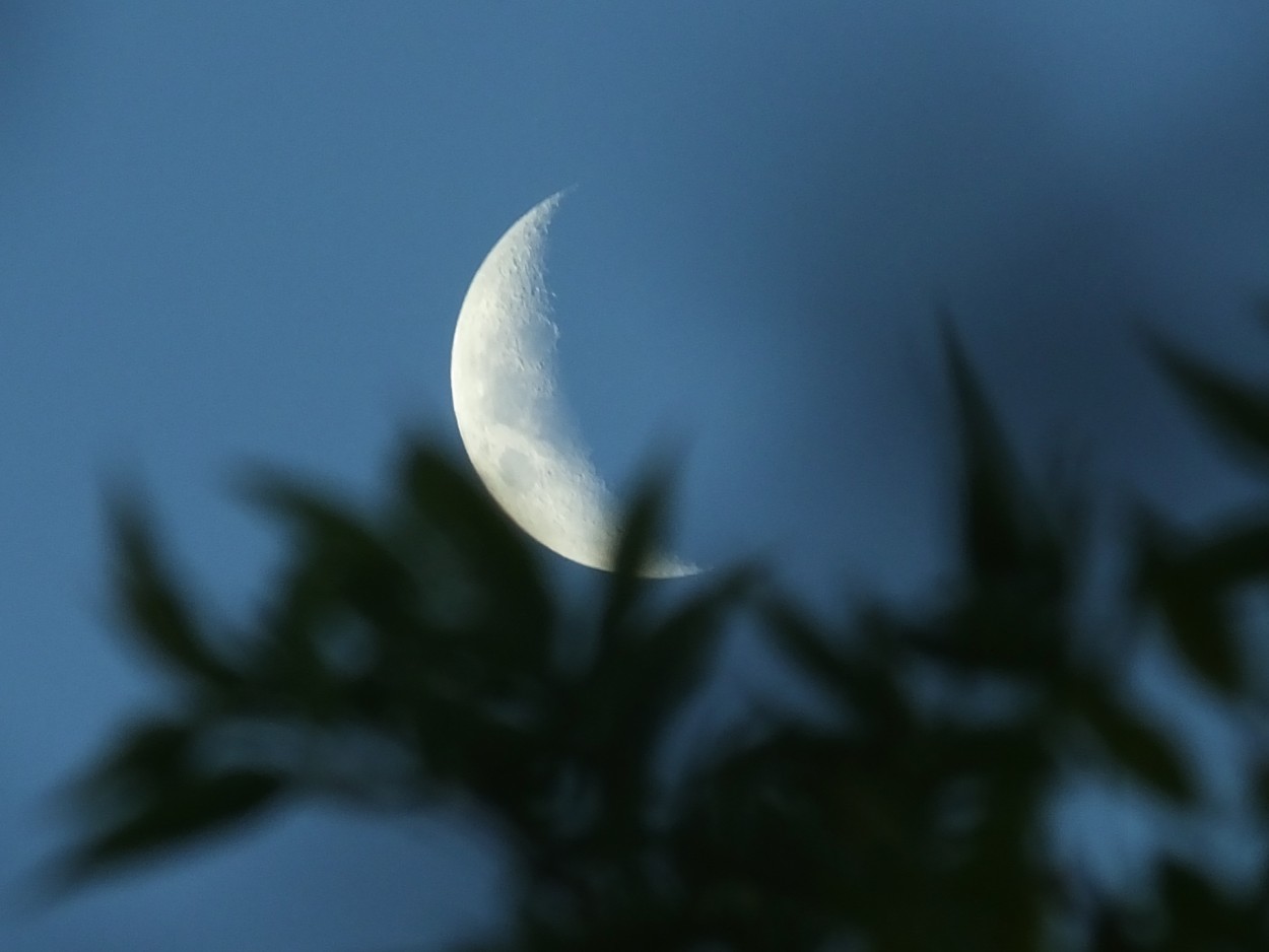 "Acunando la luna creciente otoal" de Juan Fco. Fernndez