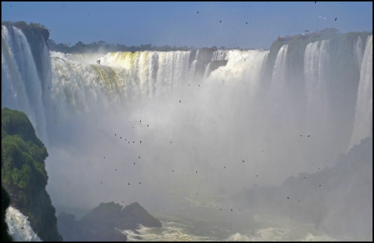 "Cataratas del Iguaz" de Federico Grieco