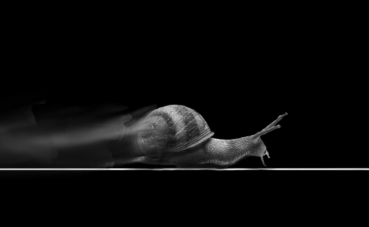 "a toda velocidad" de Fernando Basconi