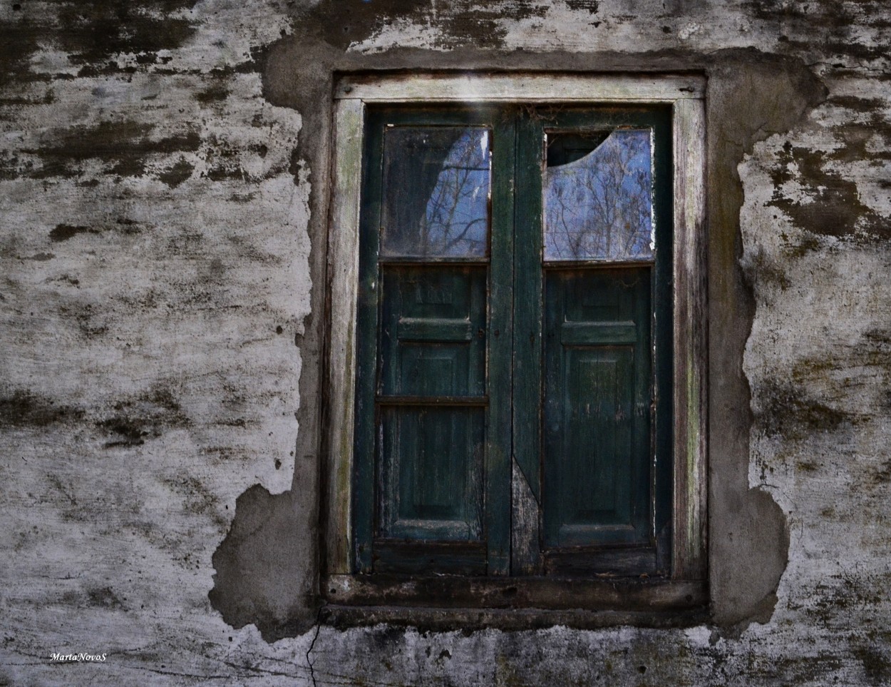 "Y en esa ventana, observando, estabas vos....." de Marta Camarotti Salinas