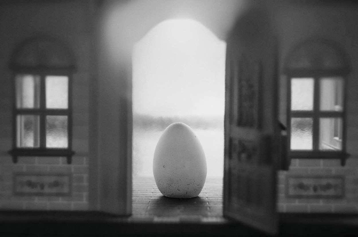 "El huevo de Coln" de Francisco Jos Cerd Ortiz