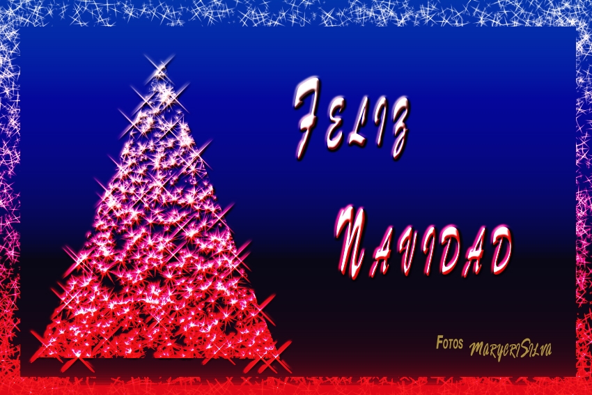 "Feliz Navidad" de Maria Cristina Silva