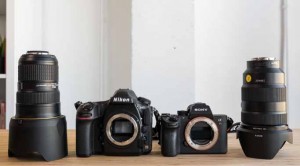 Sony A7R III y Nikon D850: la comparativa fotogrfica del ao