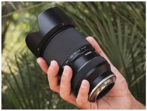 Nuevo Tamron 28-300 mm f4-7.1 VC: prueba de campo y galera de muestras