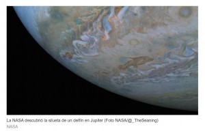 La NASA fotografi un delfn en la superficie de Jpiter y sorprendi a los cientficos