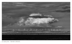 200.000 euros para una foto hecha con una rflex de hace 12 aos: estos son los ganadores de los premios HIPA