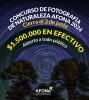 Concurso Fotogrfico Naturaleza y Conservacin AFONA 2024