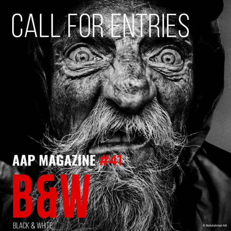 AAP Magazine 41 B&W