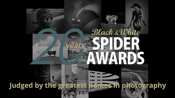 20 Black & White Spider Awards