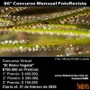 86 Concurso Mensual FotoRevista: El Reino Vegetal