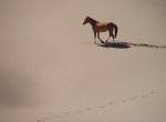 Perdido en el desierto...